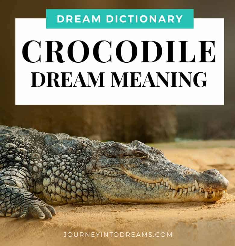 Alligator Crocodile Dream Meaning Interpretation Journeyintodreams