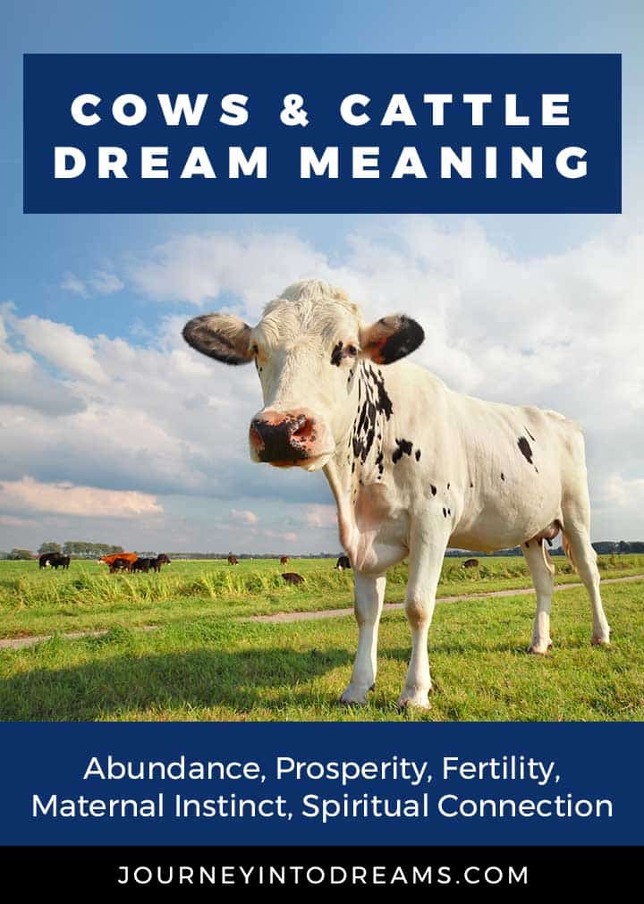 dream meaning cows