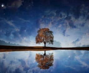 dream meaning interpretation