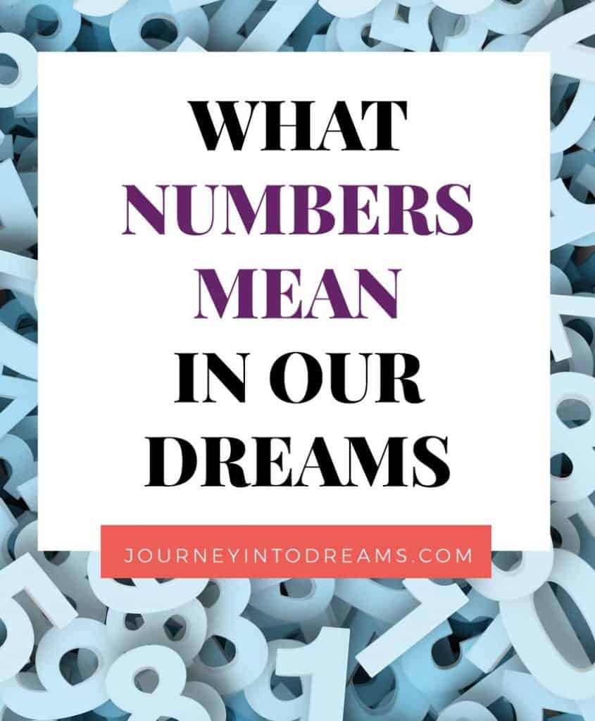 dreams and lotto number partners