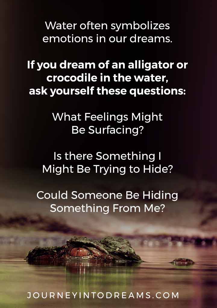 alligator water dream