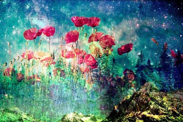What is Lucid Dreaming?
