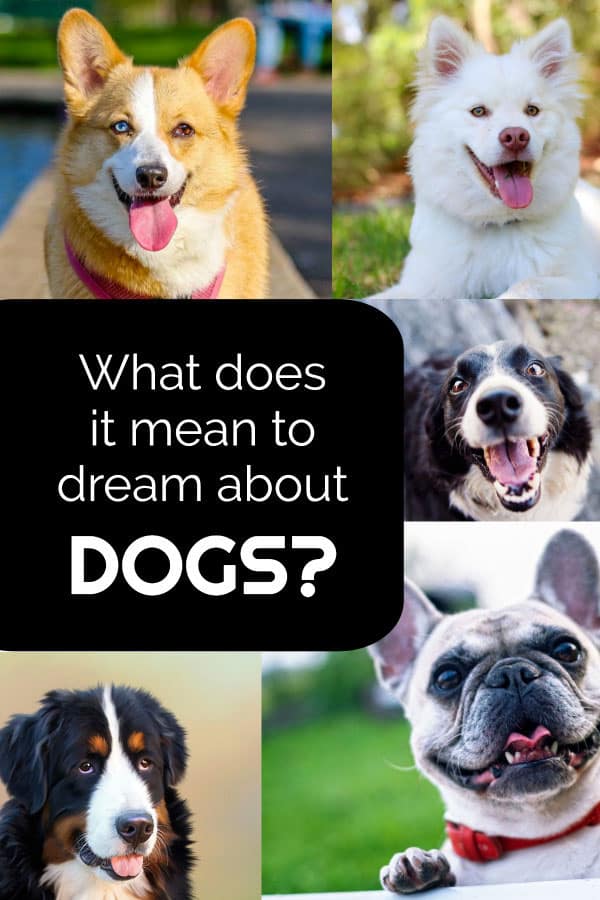 whats the meaning of dreaming about dogs