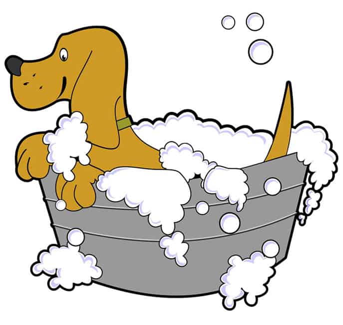 dog in bathtub