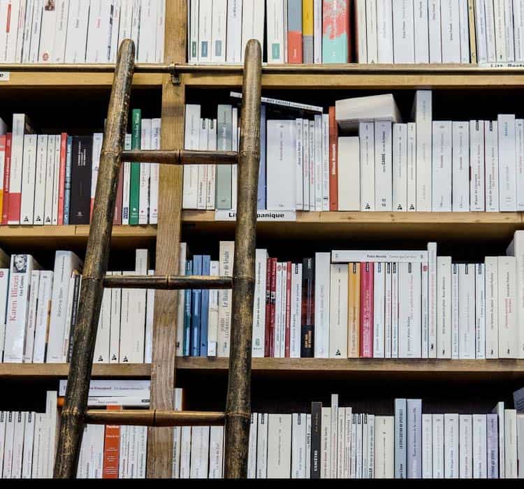 library book ladder