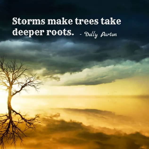 storm roots dolly parton quote