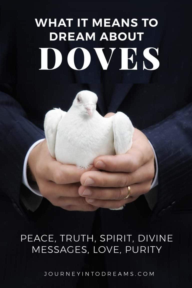 Dove Symbolism & Pigeon Meaning
