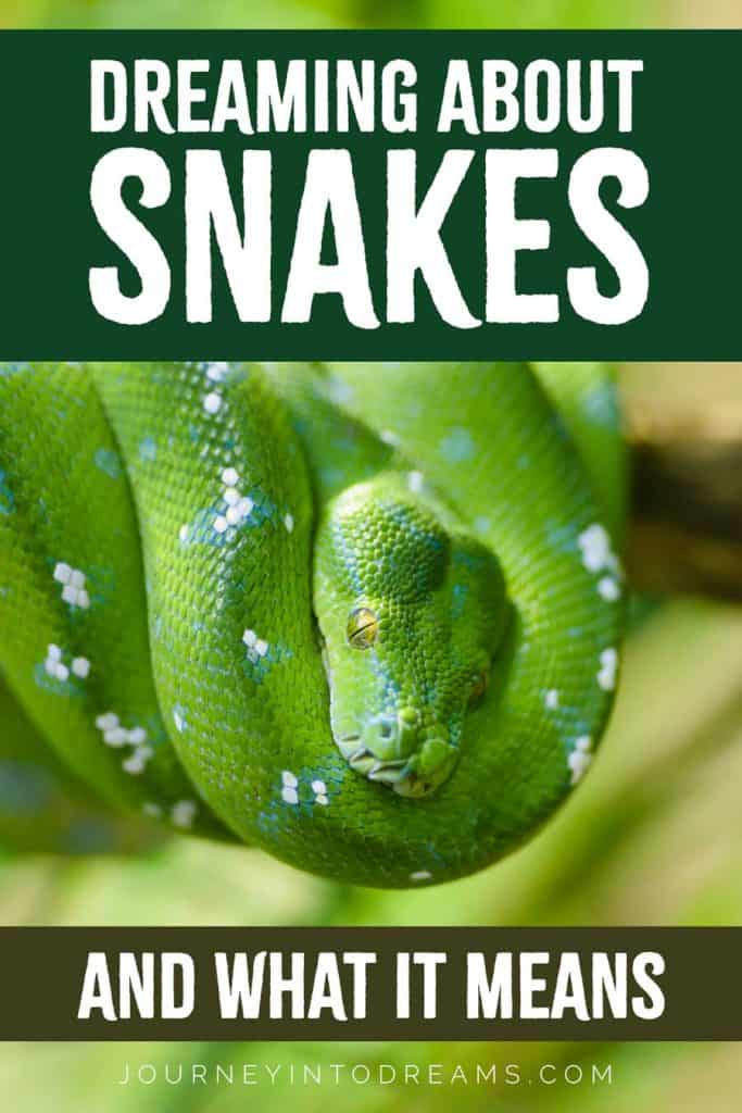 free download snake in dream meaning