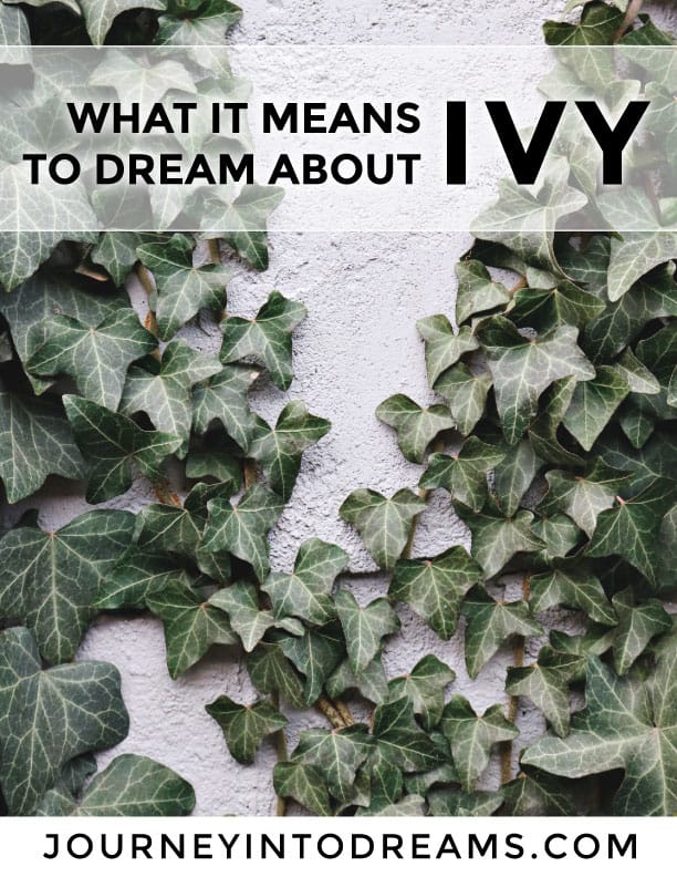 what it means to dream about ivy