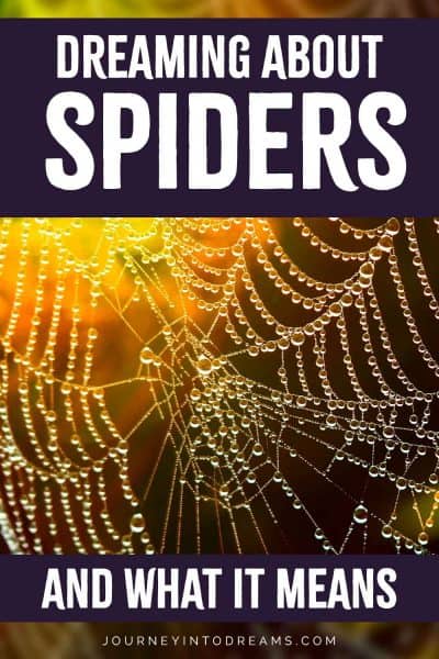 Spider Dream Meaning