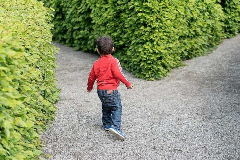 Labyrinth Or Maze Dream Meaning