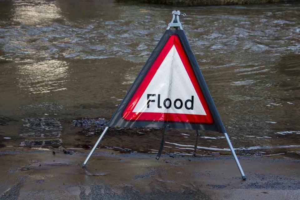 Flood Dream Meaning