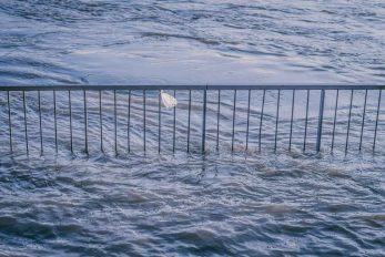 Flood Dream Meaning
