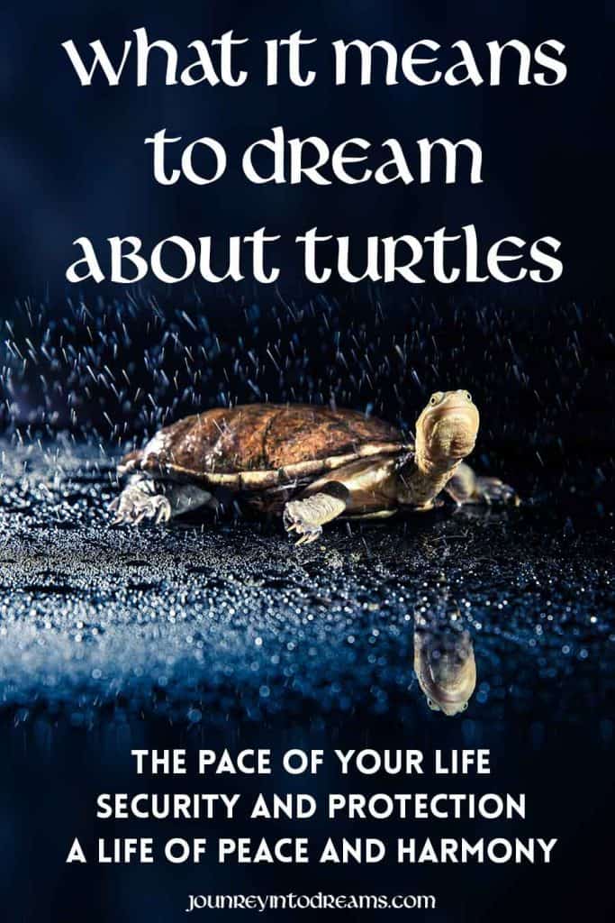 What it means to Dream about Turtles