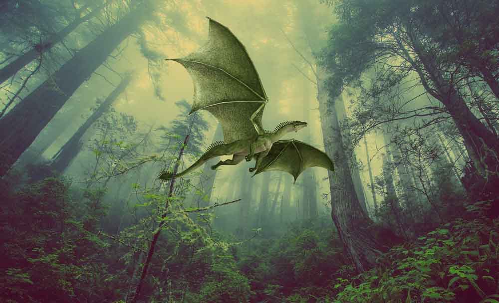 Flying Dragon in Forest