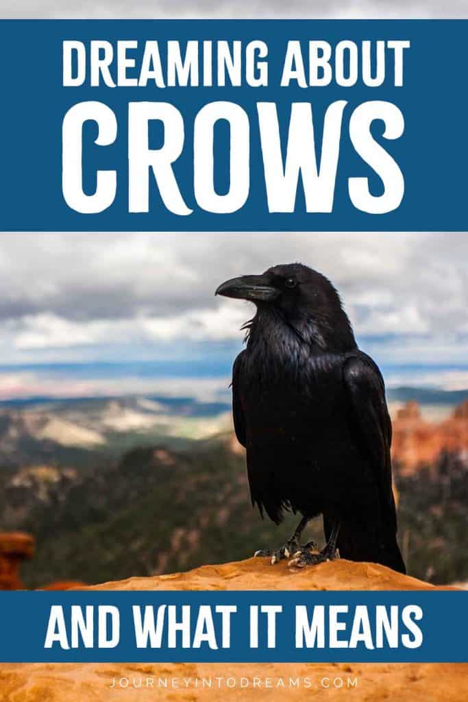 crow dream meaning