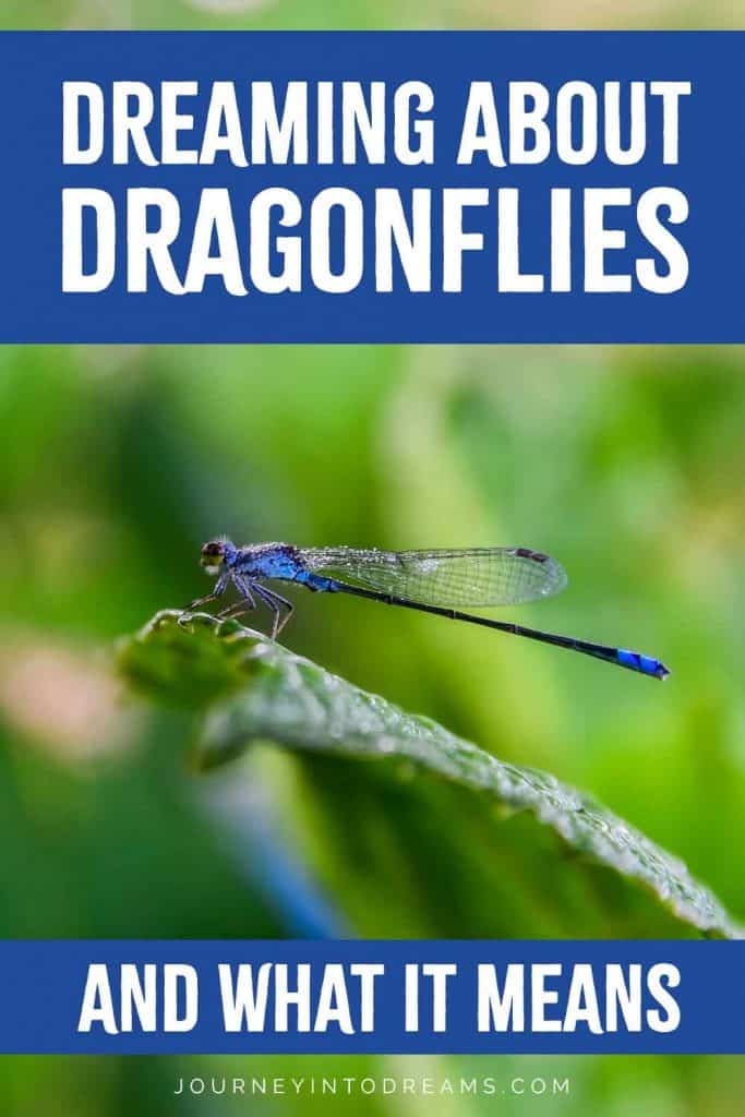 dragonflies dream meaning