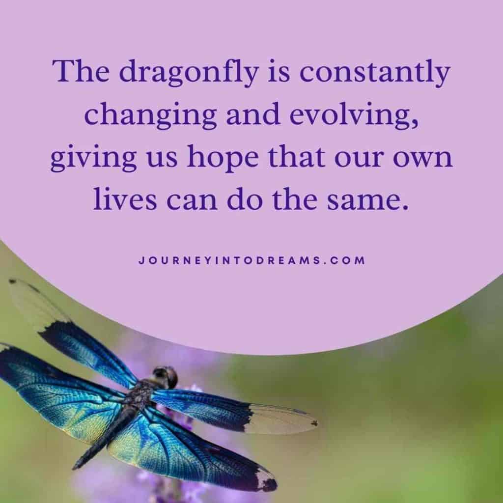 dragonfly quote