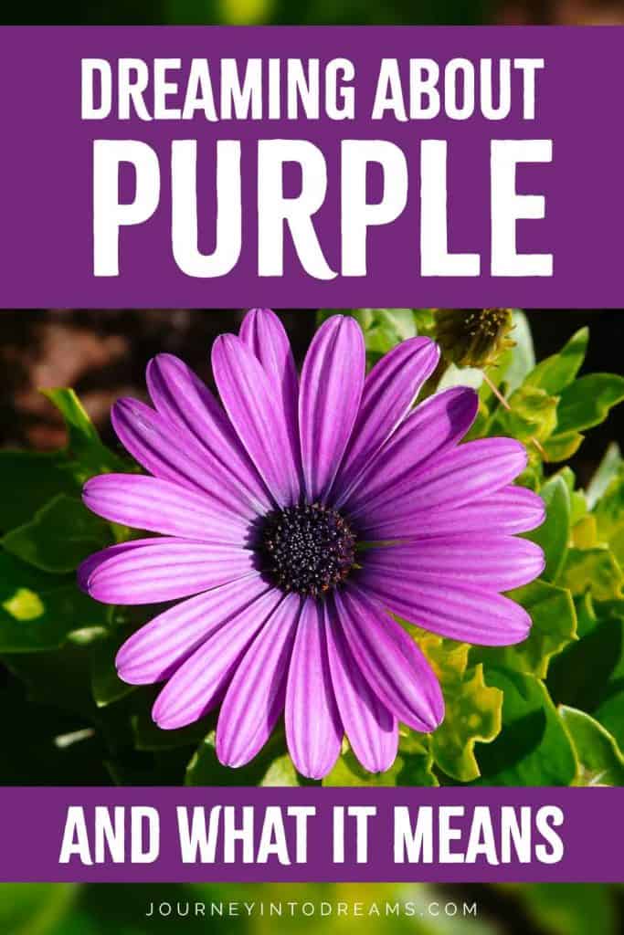 Purple Color Meaning and Symbolism