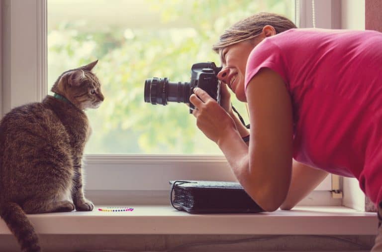 Camera Dream Meaning and Interpretation