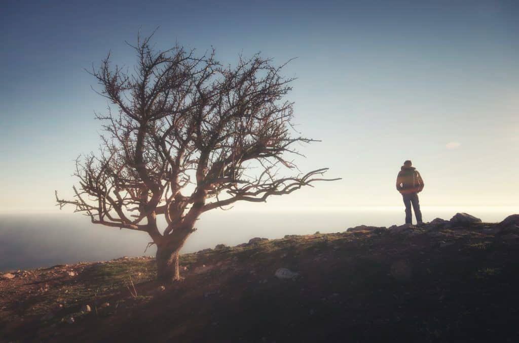 Person on the cliff