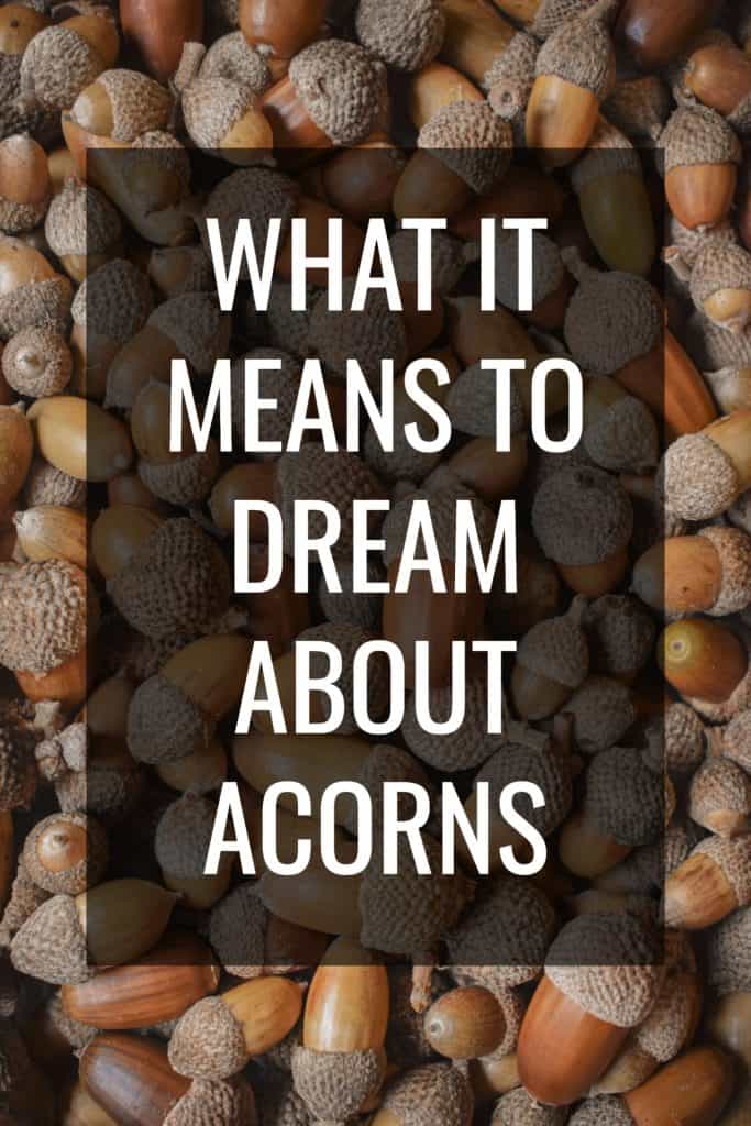 what it means to dream about acorns