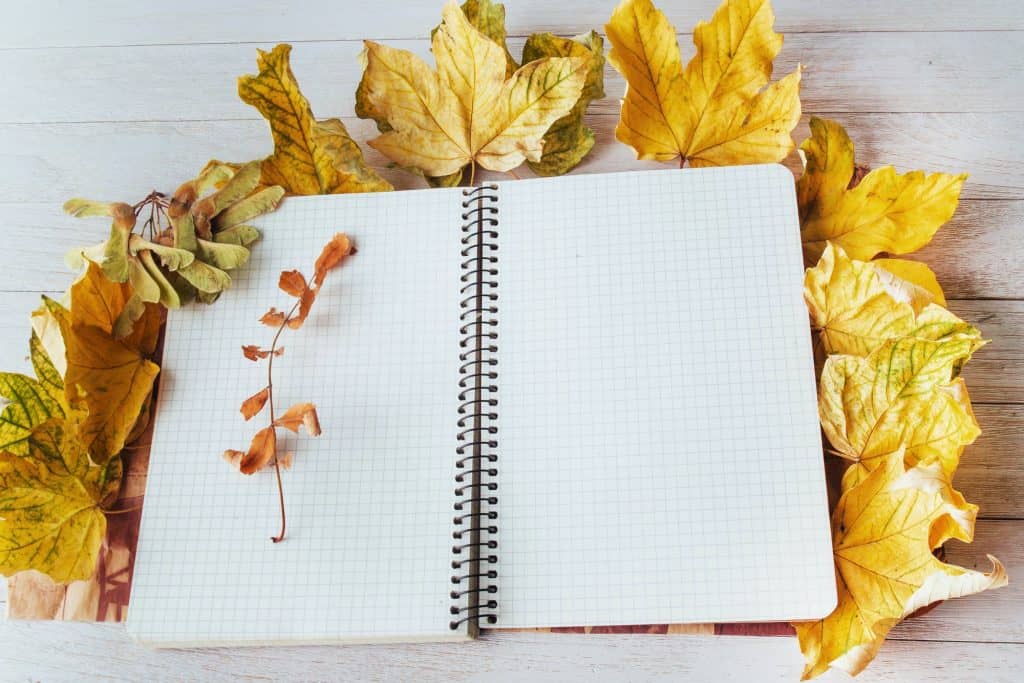 Yellow maple leaves on top and notebook lying