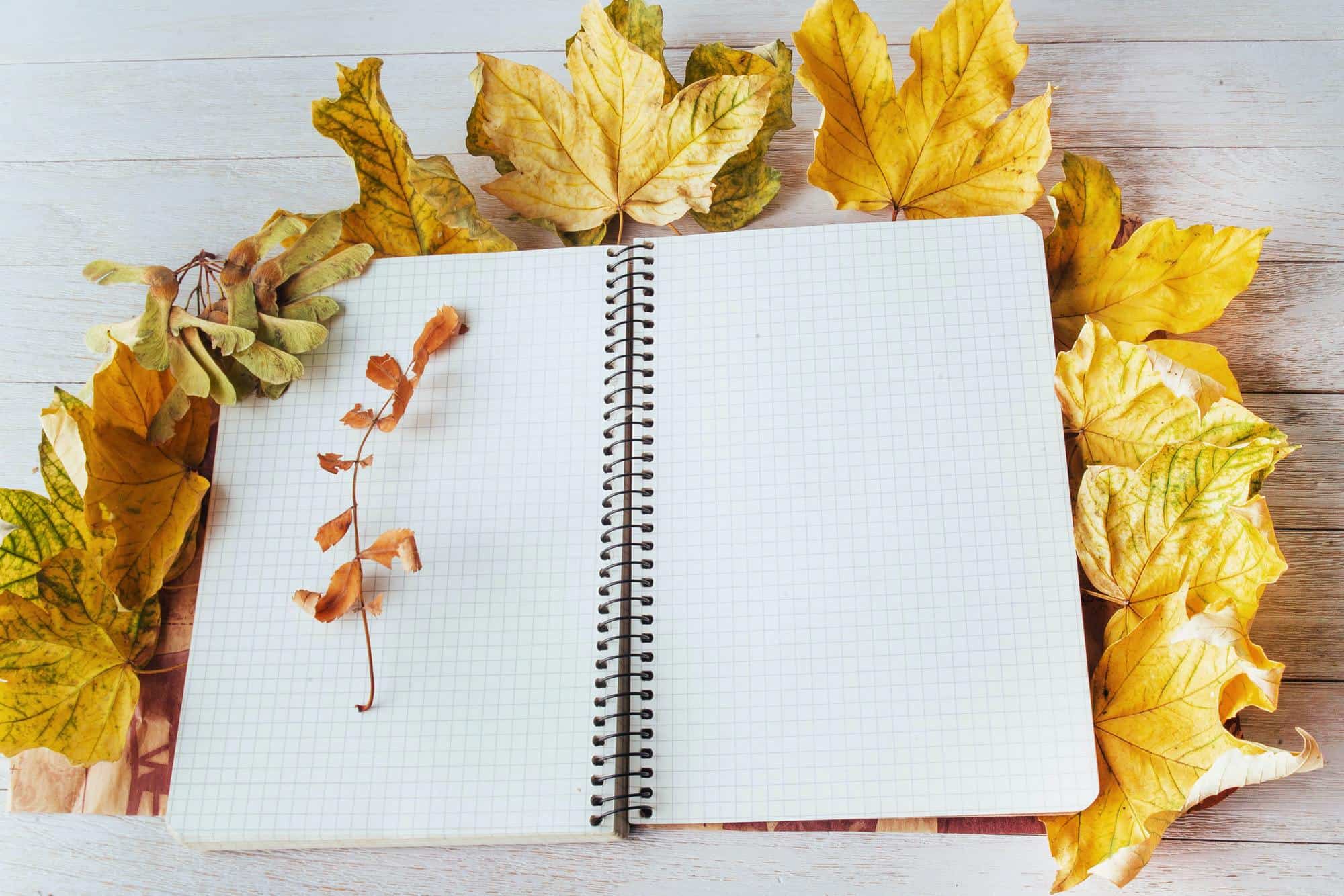 Meaning of Leaves in Dreams