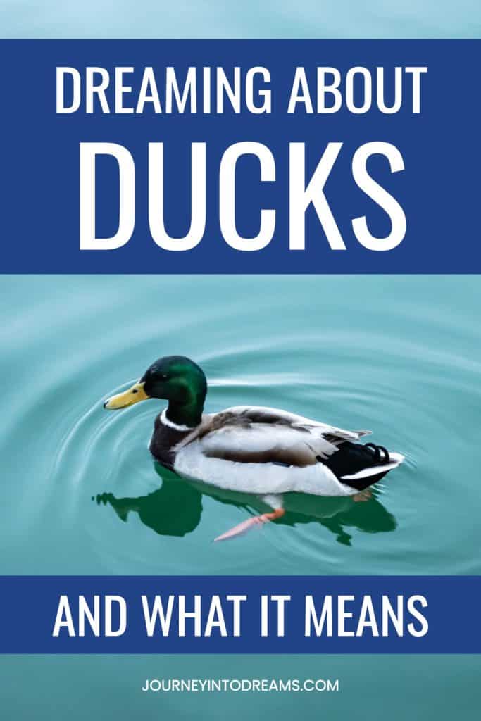 Duck Dream Meaning